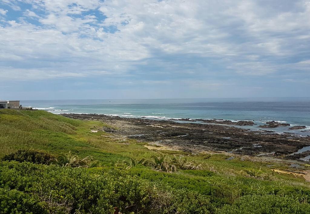 Casa Seaviews Hotel Port Elizabeth Exterior photo